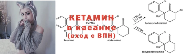 кокаин колумбия Белокуриха